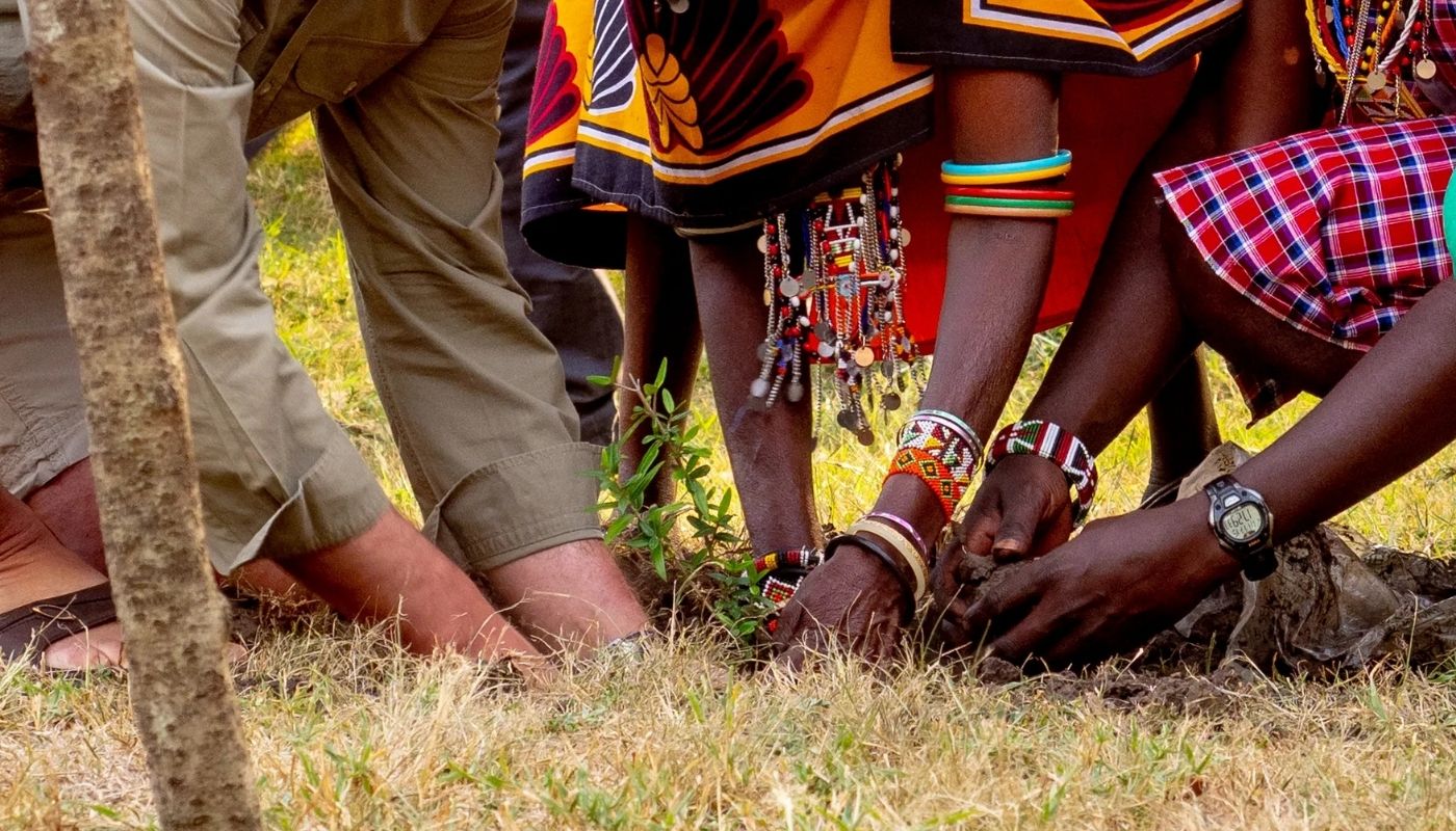 Mehrere Menschen pflanzen gemeinsam einen jungen Baum in den Boden.